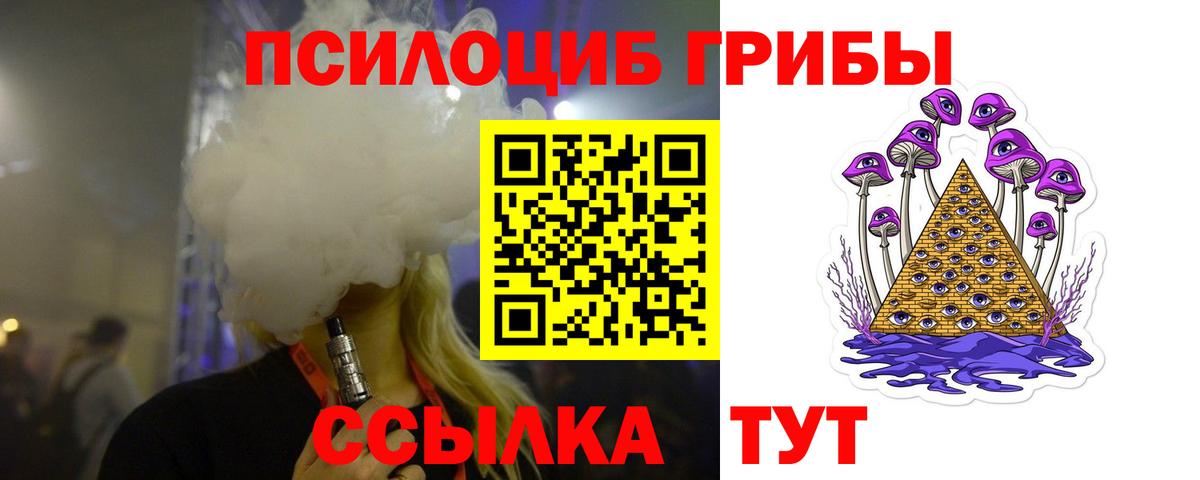 Псилоцибиновые грибы мухоморы  Галлюциногенные грибы Psilocybe  Зима  Вход с VPN 
